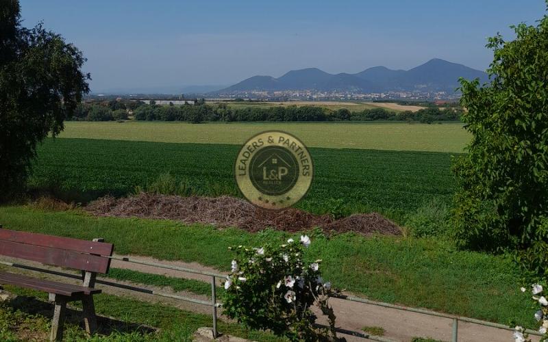 Výhodne- Na predaj vinohrad v Tokajskej oblasti, Viničky.