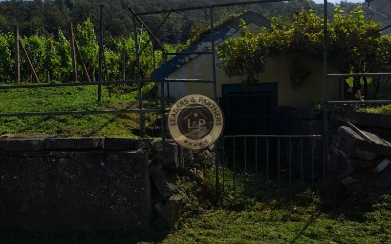 Výhodne- Na predaj vinohrad v Tokajskej oblasti, Viničky.