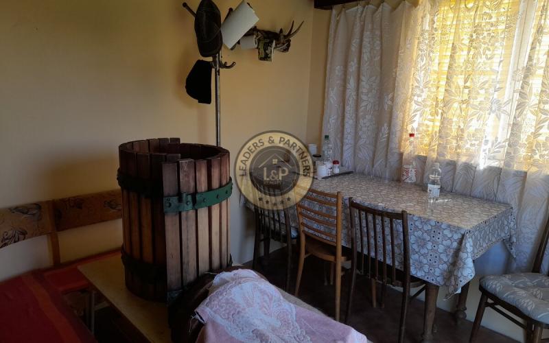 Výhodne- Na predaj vinohrad v Tokajskej oblasti, Viničky.