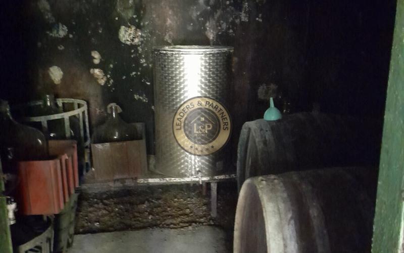 Výhodne- Na predaj vinohrad v Tokajskej oblasti, Viničky.