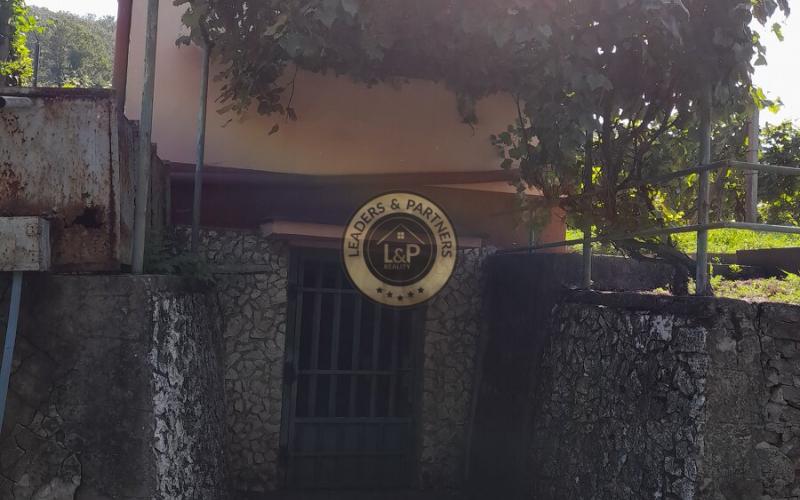 Výhodne- Na predaj vinohrad v Tokajskej oblasti, Viničky.