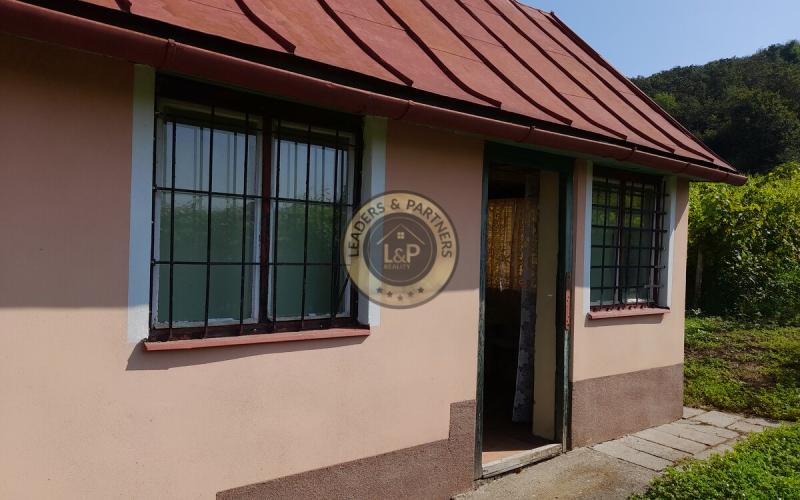 Výhodne- Na predaj vinohrad v Tokajskej oblasti, Viničky.