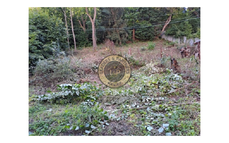 NA PREDAJ starý rodinný dom/pozemok BANSKÁ ŠTIAVNICA