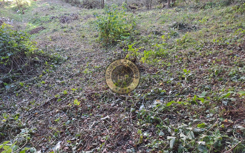 NA PREDAJ starý rodinný dom/pozemok BANSKÁ ŠTIAVNICA