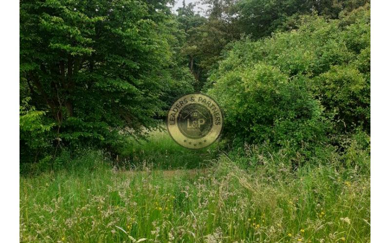 *REZERVOVANÉ*  pozemok v obci Nová Bošáca