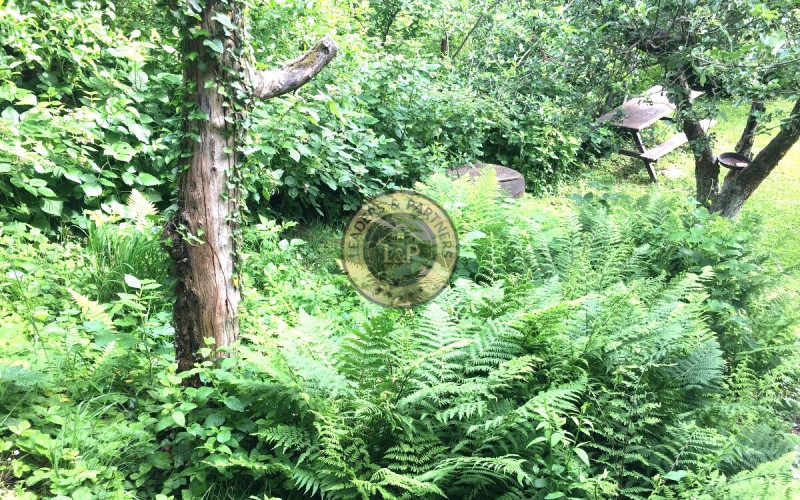 Chata s pozemkom, Košice-Čičky , časť Kamenné