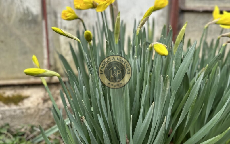 Chata s pozemkom, Košice-Čičky , časť Kamenné