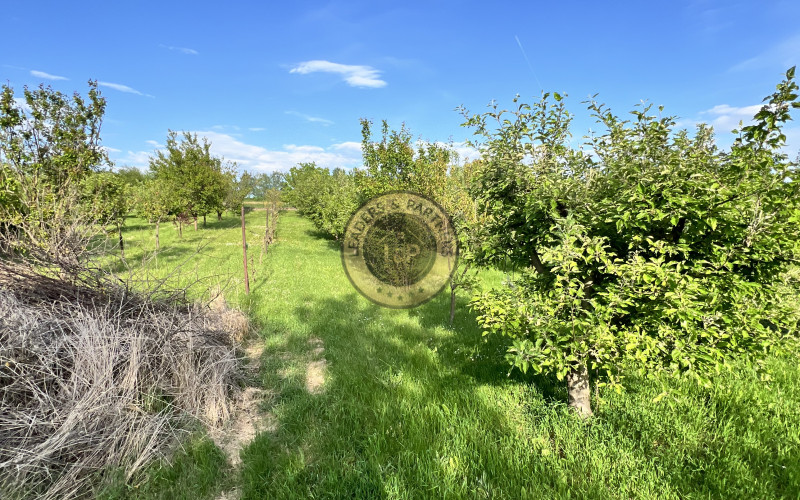 5 Izbovy Rodinný dom Choča