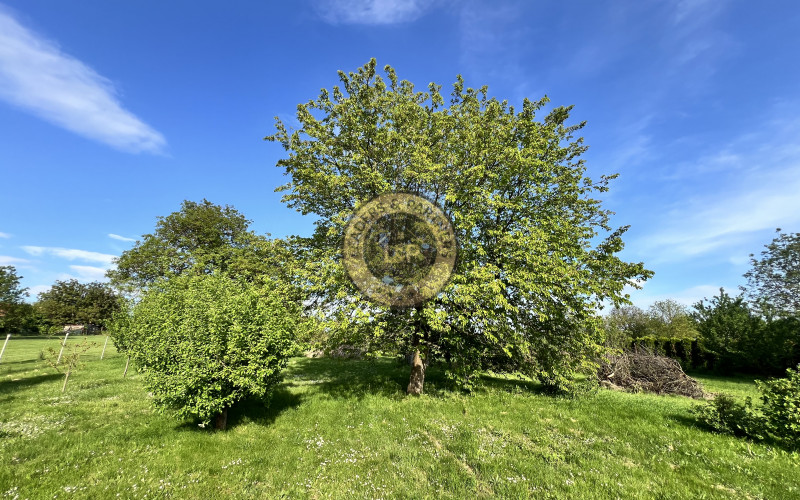 5 Izbovy Rodinný dom Choča