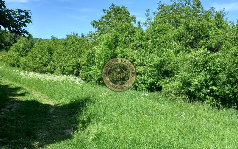 Pozemok v krásnom prostredí pri lese, Dolná Súča-Polníky