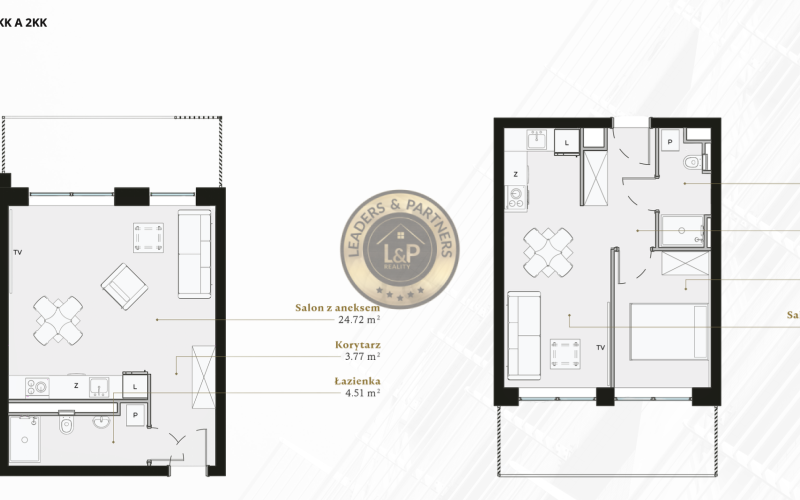 PROJEKT LAGUNA BESKIDÓW - KLENOT POĽSKÝCH BESKÝD