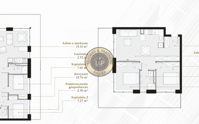 PROJEKT LAGUNA BESKIDÓW - KLENOT POĽSKÝCH BESKÝD