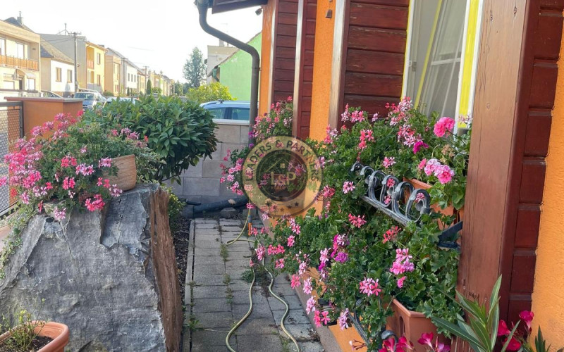 Na predaj luxusný rodinný dom v Senici