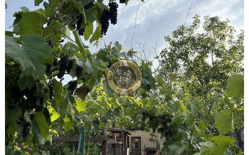 PRENÁJOM rodinný dom Rajka