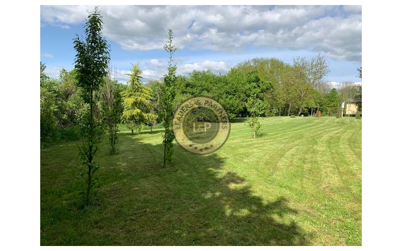 Krásny rodinný dom s veľkorysým pozemkom v obci Abaújvár.