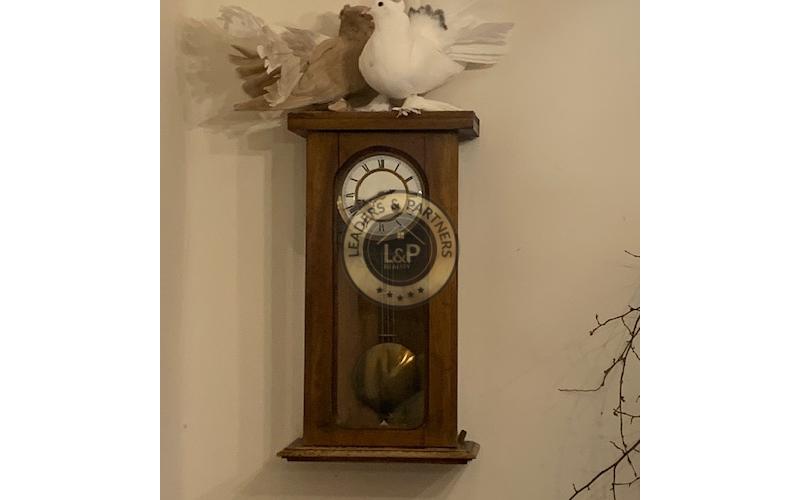 Krásny rodinný dom s veľkorysým pozemkom v obci Abaújvár.