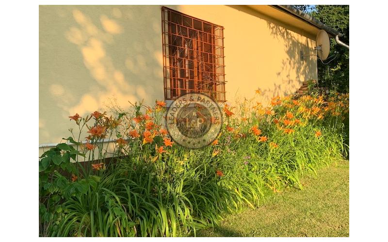 Krásny rodinný dom s veľkorysým pozemkom v obci Abaújvár.