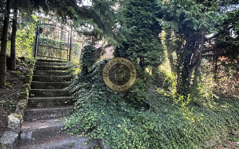 ZNÍŽENÁ CENA! Na predaj pozemok s chatkou v Trstíne časť Rasuchov