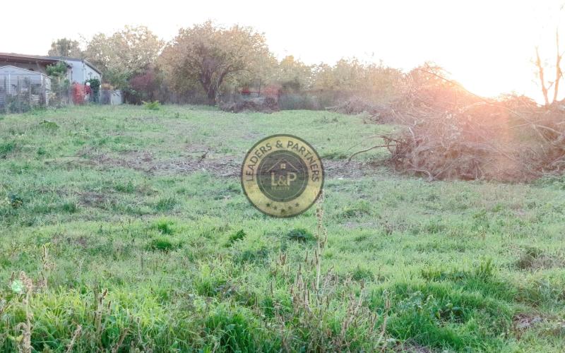 Stavebný pozemok Nitra-Mlynárce 2433m2