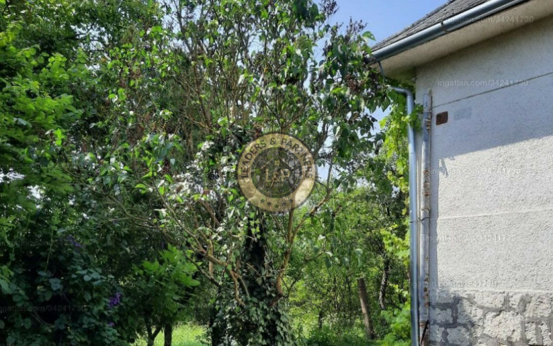 Jedinečný  rodinný dom v blízko Košíc, obec Füzérradvány.