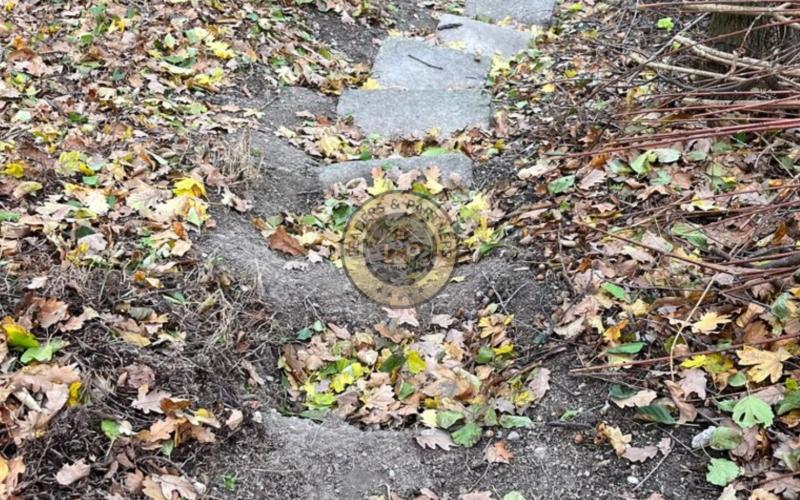 Predaj záhrada s chatou ,Rača Pekná cesta