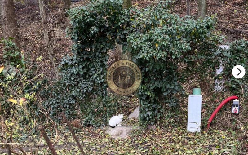 Predaj záhrada s chatou ,Rača Pekná cesta