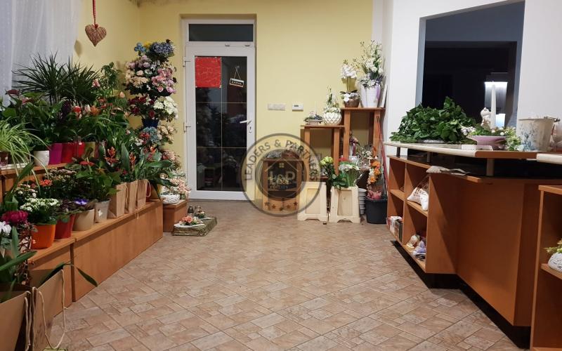 PREDAJ rodinný dom s kvetinárstvom Rajka