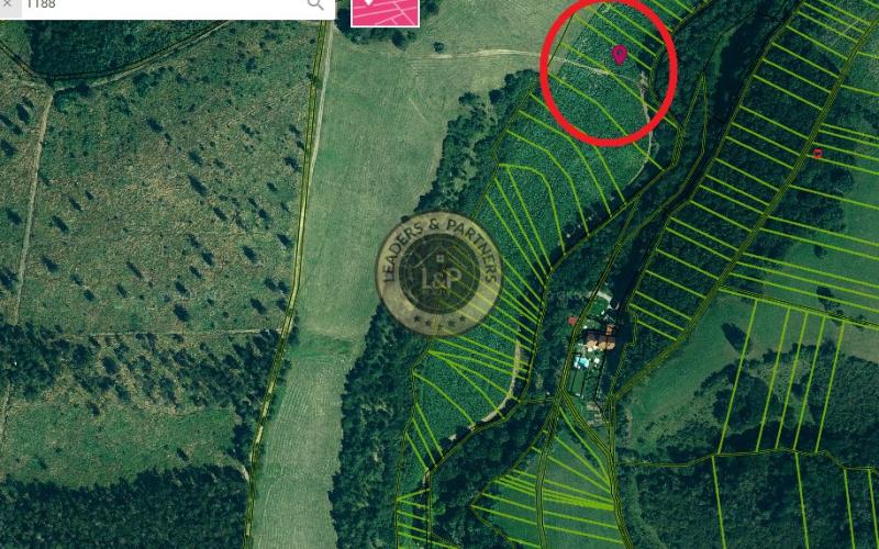 Na predaj pozemok k.ú. Lopašov okr. Skalica