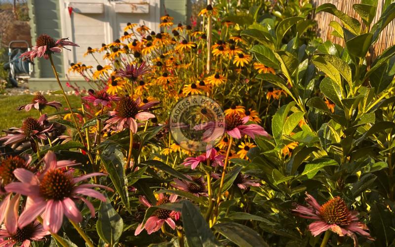 NOVÁ CENA !!! Pekný rodinný dom v Hrubej Borši na predaj