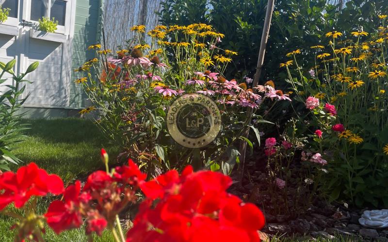 NOVÁ CENA !!! Pekný rodinný dom v Hrubej Borši na predaj