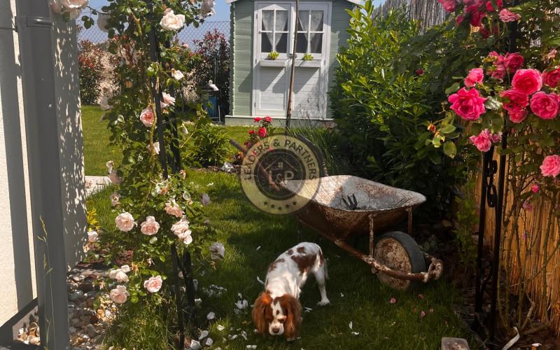 NOVÁ CENA !!! Pekný rodinný dom v Hrubej Borši na predaj