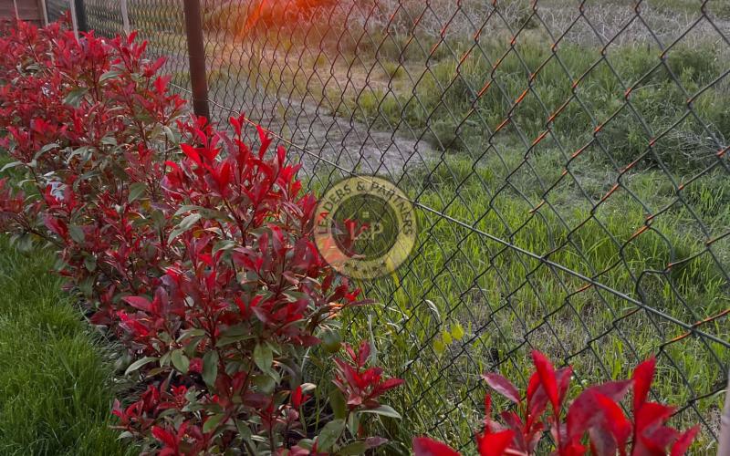 NOVÁ CENA !!! Pekný rodinný dom v Hrubej Borši na predaj