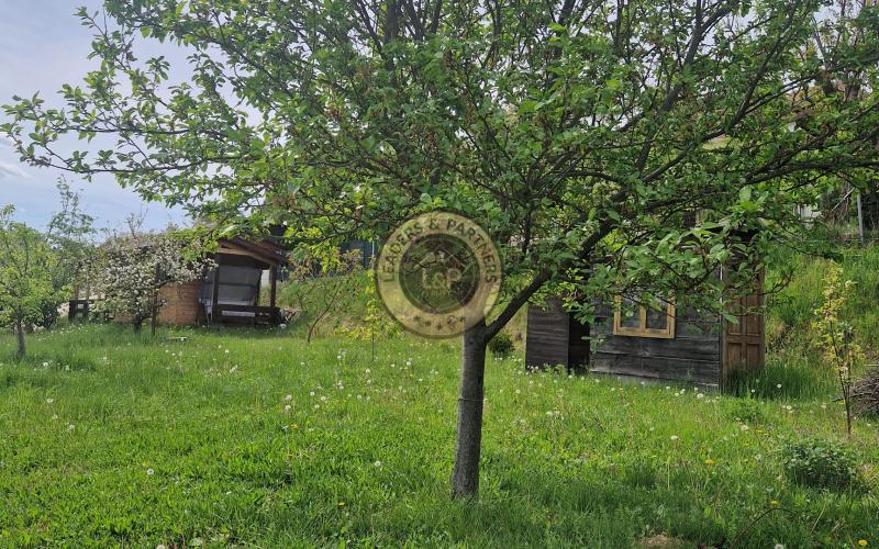 Na predaj záhradka s chatkou v ZO Kunov