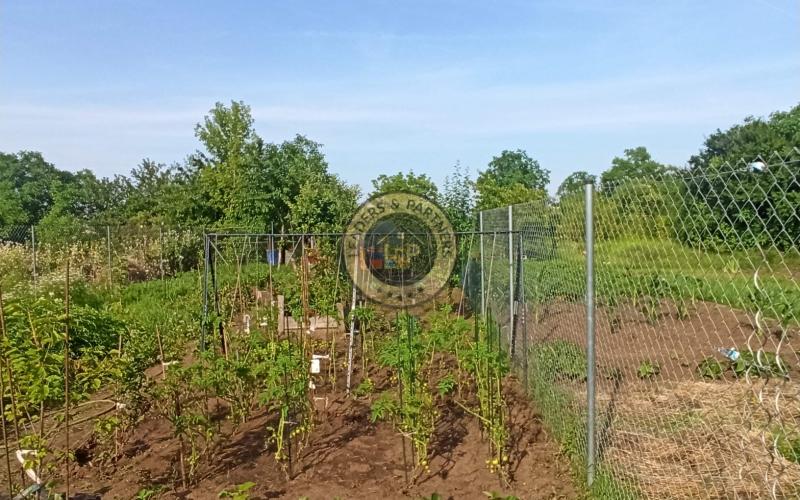 Na predaj záhradka v Modranke 250m2