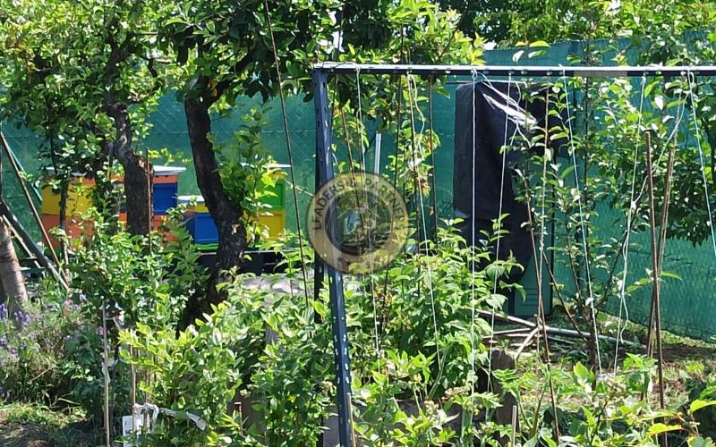 Na predaj záhradka v Modranke 250m2