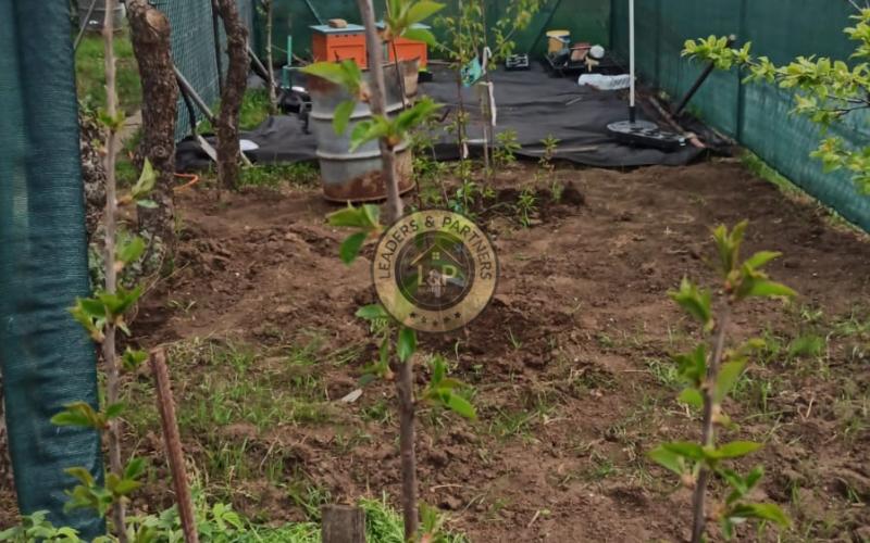 Na predaj záhradka v Modranke 250m2