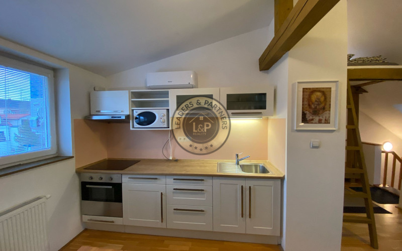 1-izbový podkrovný, originálny byt v rodinnom dome pri VIVO