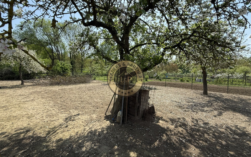 Na predaj dom v pôvodnom stave v Hornej Krupej s pozemkom 1852m2