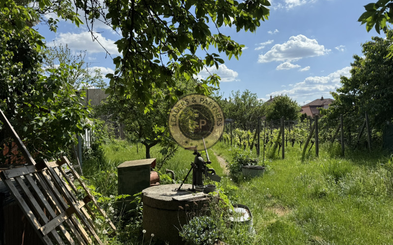 Na predaj starší vidiecky dom s 8 árovým pozemkom v Grinave