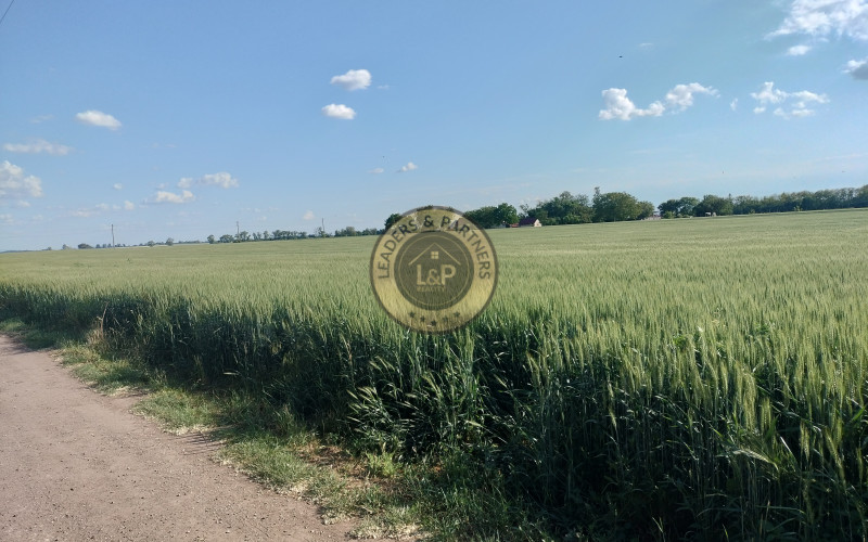 Investičné pozemky na predaj Štefanovičová