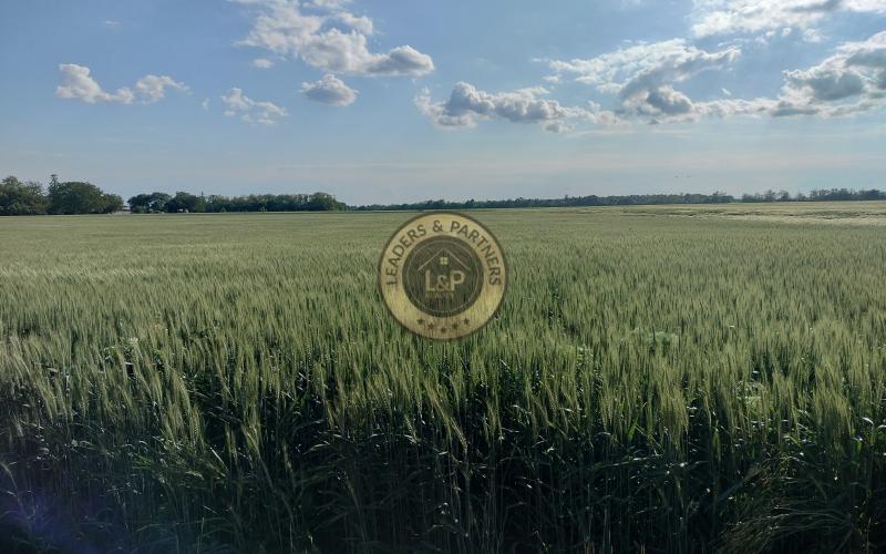 Investičné pozemky na predaj Štefanovičová