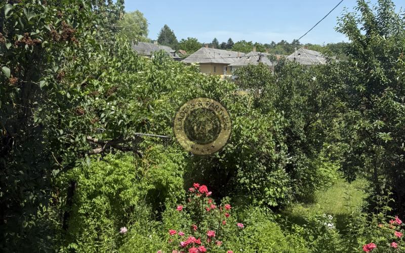 Jedinečný  rodinný dom v blízko Košíc, obec Füzérradvány.