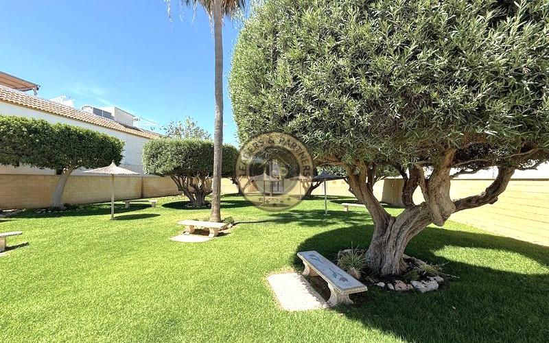 Apartmán 3+1 Torrevieja-El Chaparral, Španielsko