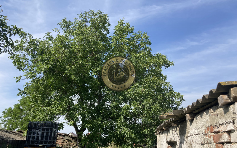 PREDAJ rodinný dom Bezenye