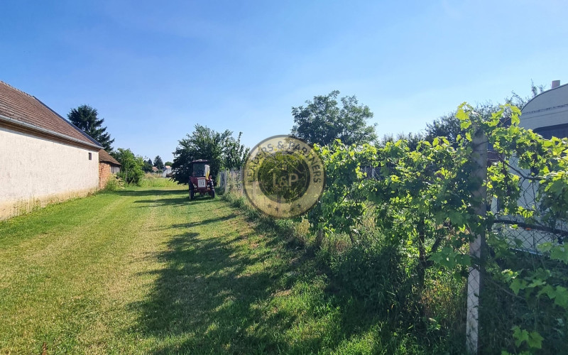 PREDAJ pozemok 6652 m2 Dunasziget