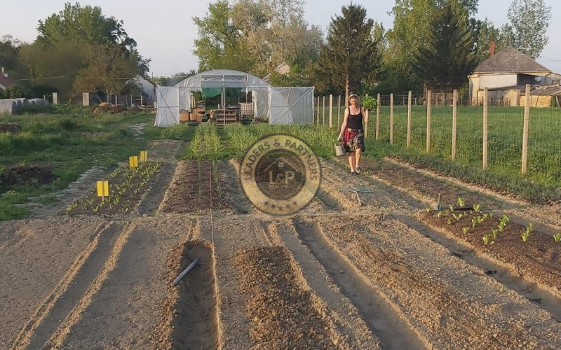 PREDAJ pozemok 6652 m2 Dunasziget