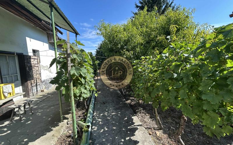 PREDAJ rodinný dom Rajka