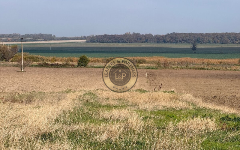 Na predaj 2 pozemky v obci Košolná