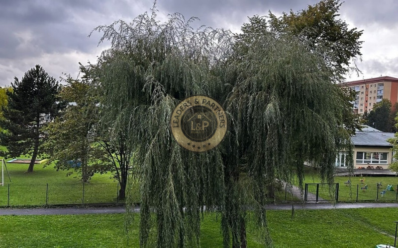 NA PREDAJ - Zrekonštruovaný 2-izbový byt - STARÁ ĽUBOVŇA