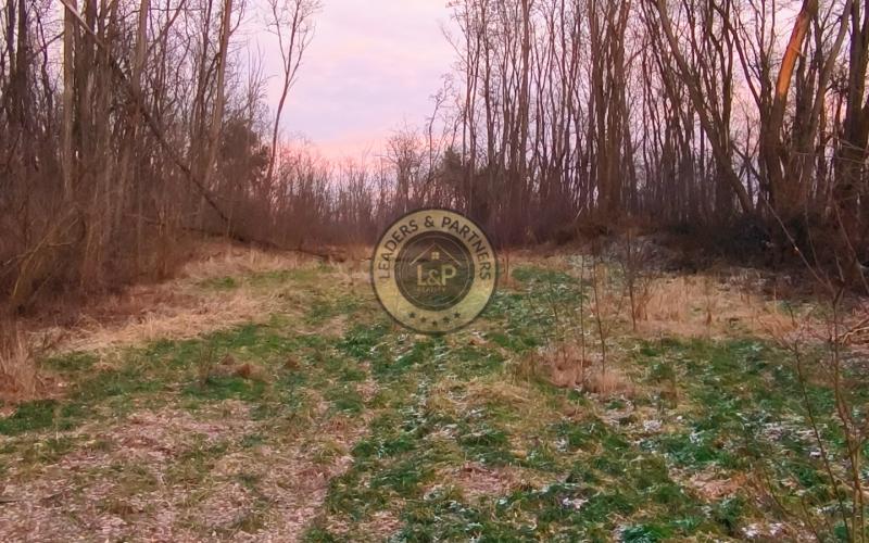 Lesný pozemok v obci Dojč